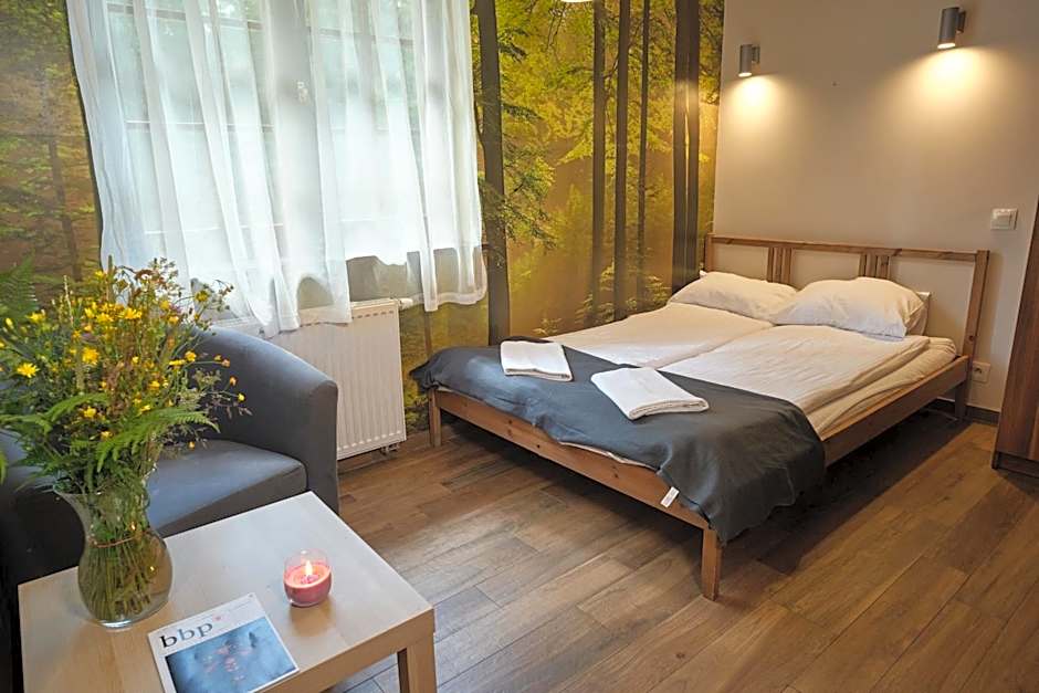 Villa Biesisko Przysłup Cisna