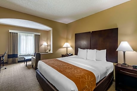 1 King Bed, Suite, Nonsmoking