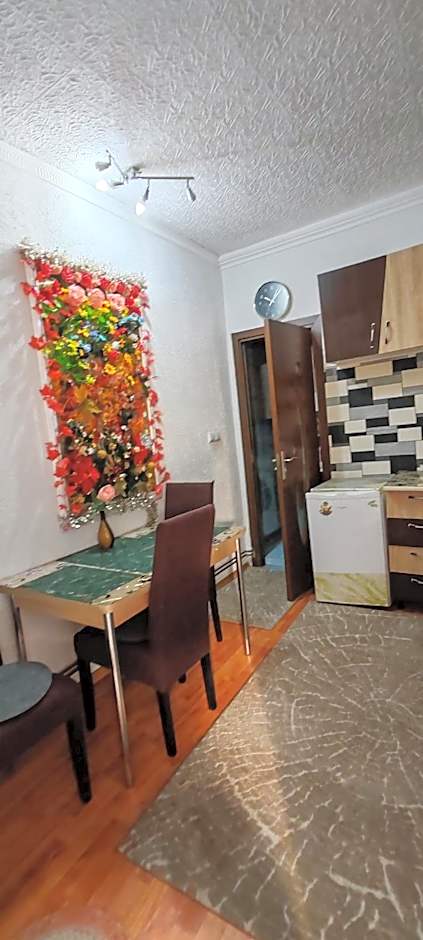 MADE in Transilvania