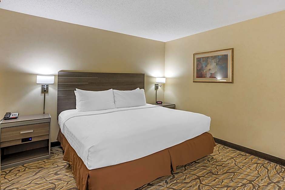 Photo 1 of 4 of 1 King Bed, Mobility Accessible, Roll in Shower