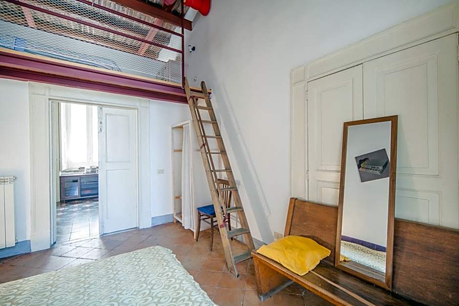 B&B Stella 10