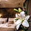 Luxury Rooms VINDEMIÆ