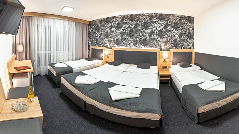 Hotel Kamzík ***