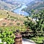 Casa Vale do Douro
