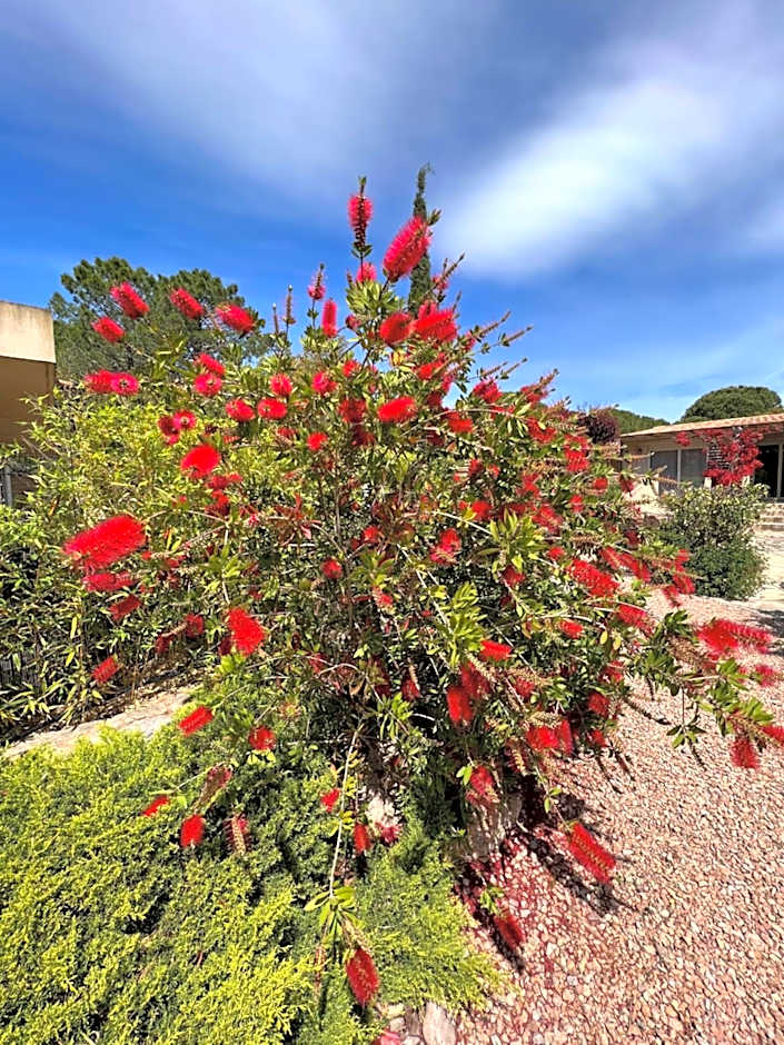 Hôtel les jardins de Sta Giulia avec piscine