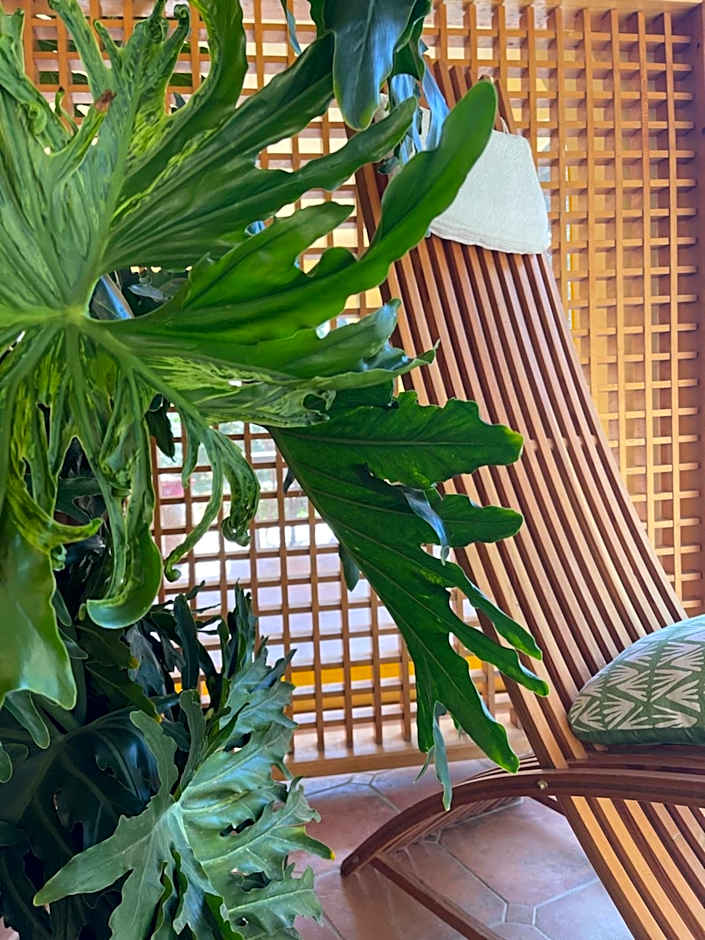 S'Arenada Hotel - Adults Only