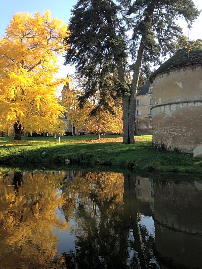 Chateau de Bresse sur Grosne
