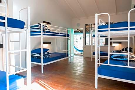 Bed in 8-Bed Mixed Dormitory Room
