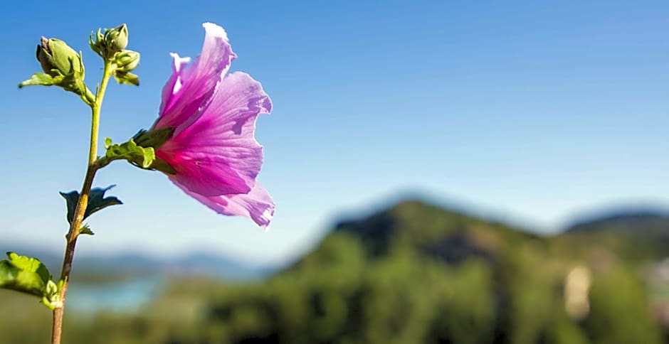 Hotel y Aparthotel Dos Rios