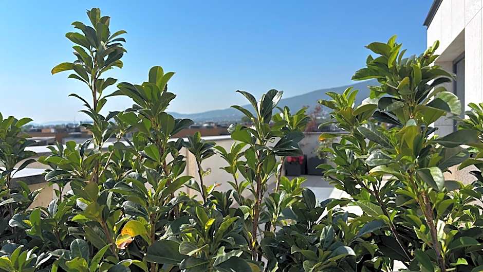 Blue Star Luxury Hotel