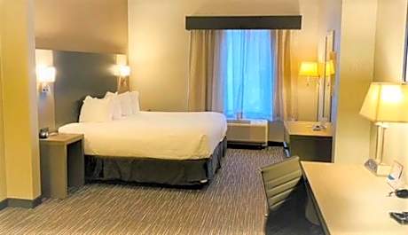 1 King Bed Non-Smoking