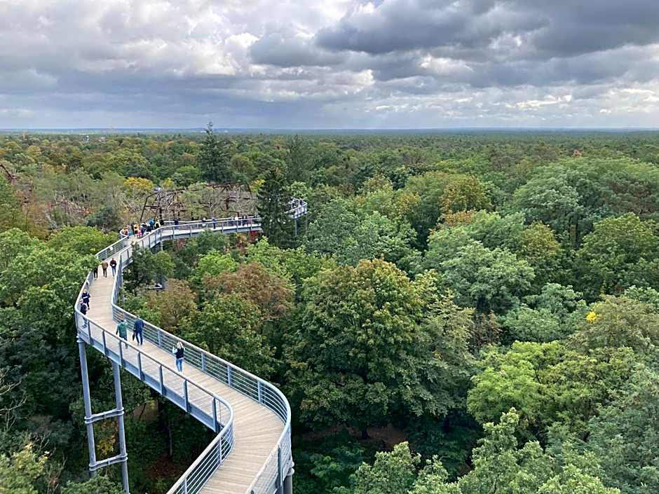 Grimm´s Berlin Potsdam