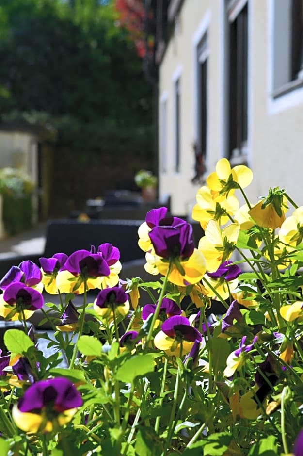 Natur & Wander Hotel Gassbachtal