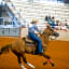 Holiday Inn Express Hotel & Suites College Station By IHG