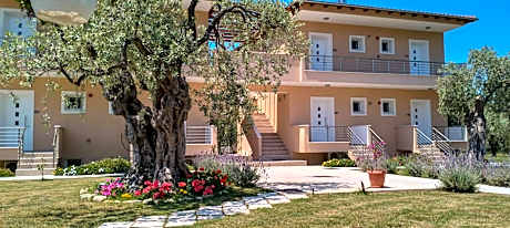 Anatoli Studios