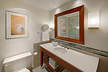 Traditional Room, 1 King Bed