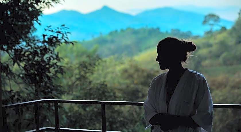 Wayanad Wild  Rainforest Lodge by CGH Earth