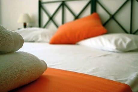 Double or twin Mountain View