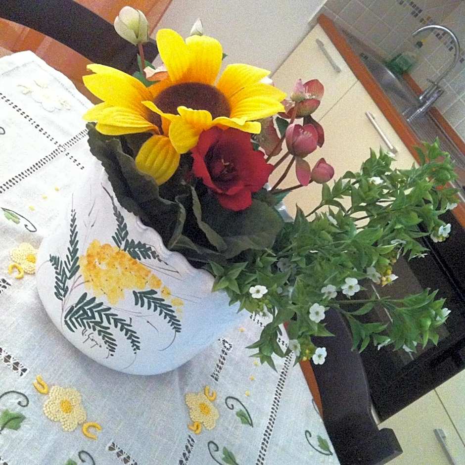 Cav Costa degli Etruschi