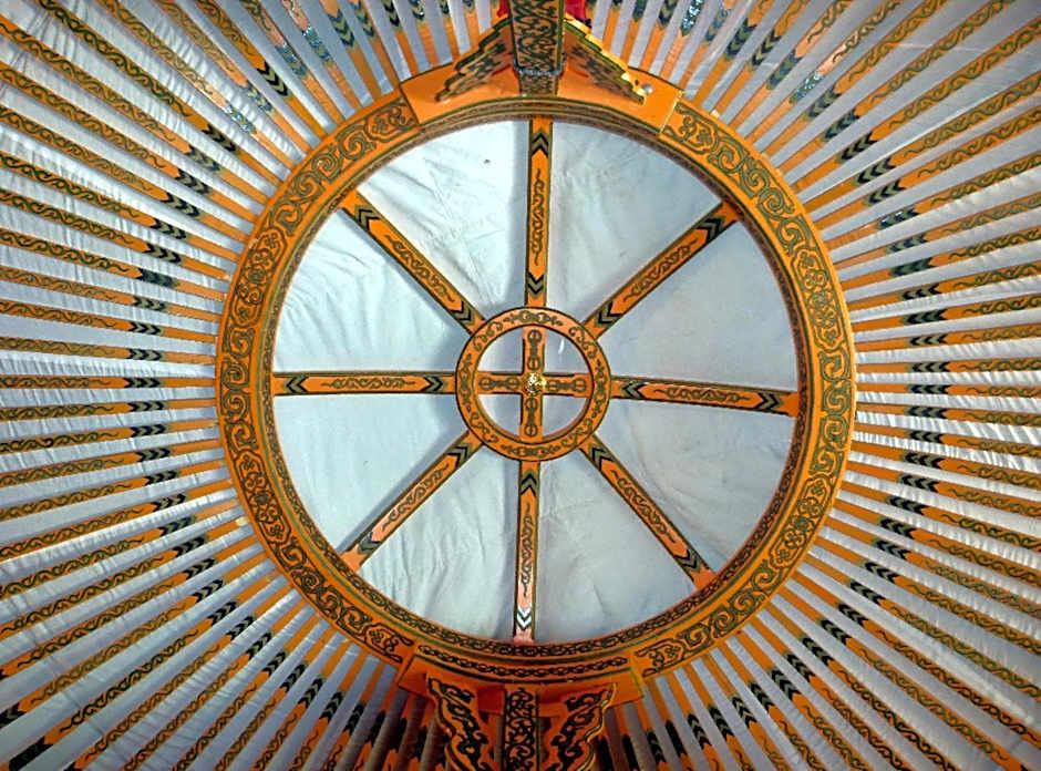 Wacky Stays - unique farm-stay glamping rentals, FREE animal feeding tours