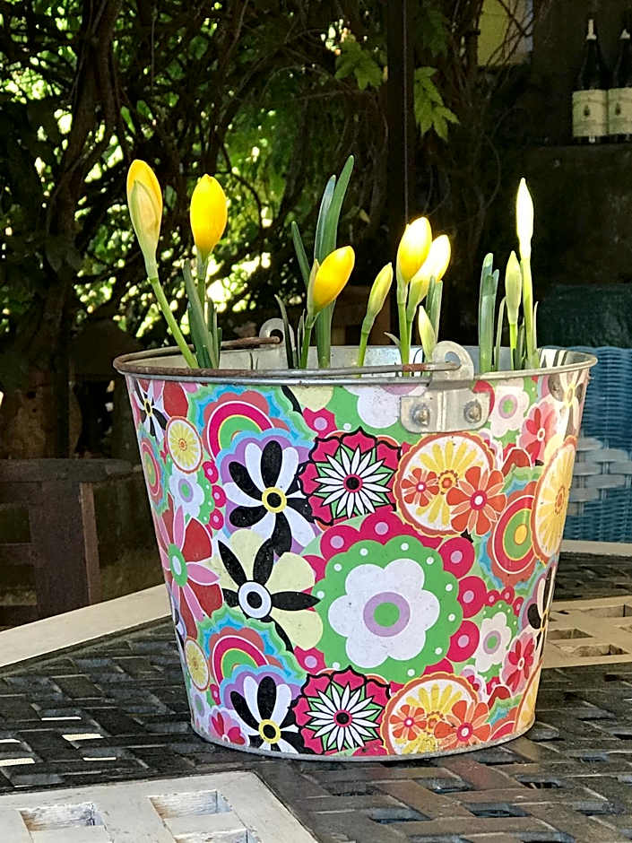 Chambres d'Hôtes et Gîtes Le Mas Mellou