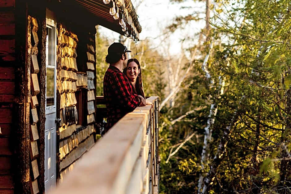 Entre Lemoine et l'arbre