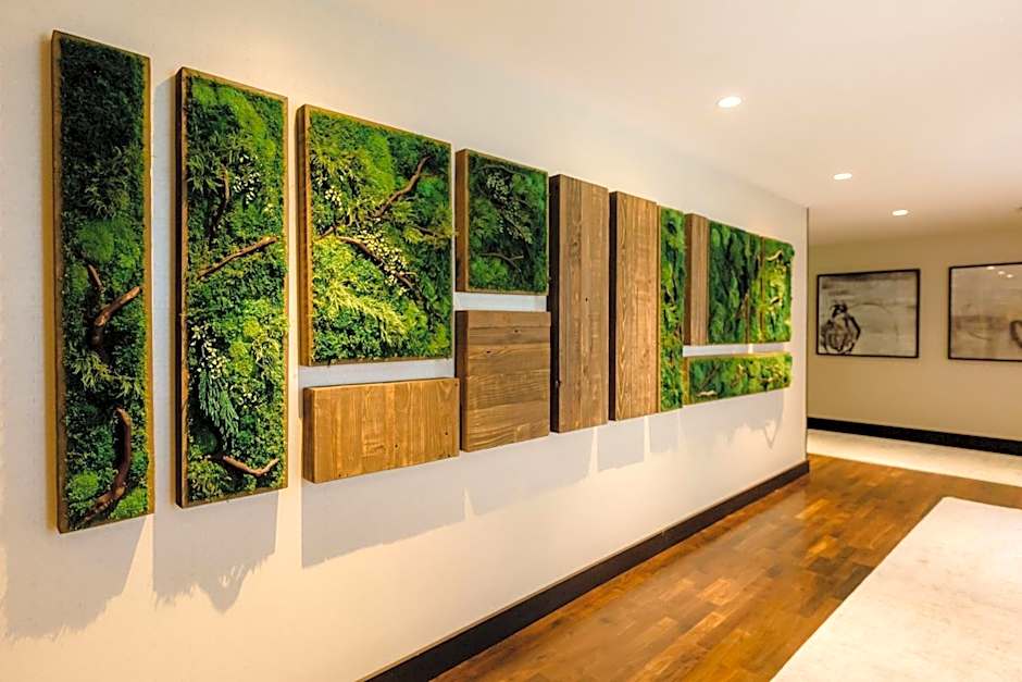 JW Marriott Houston Downtown