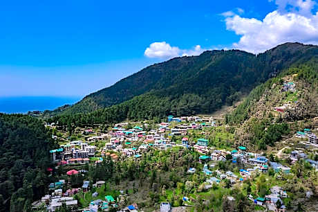 Alt Life Hostels- Dharamkot (Mcleodganj)