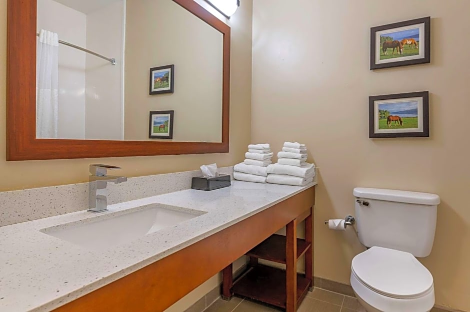 Comfort Suites Keeneland