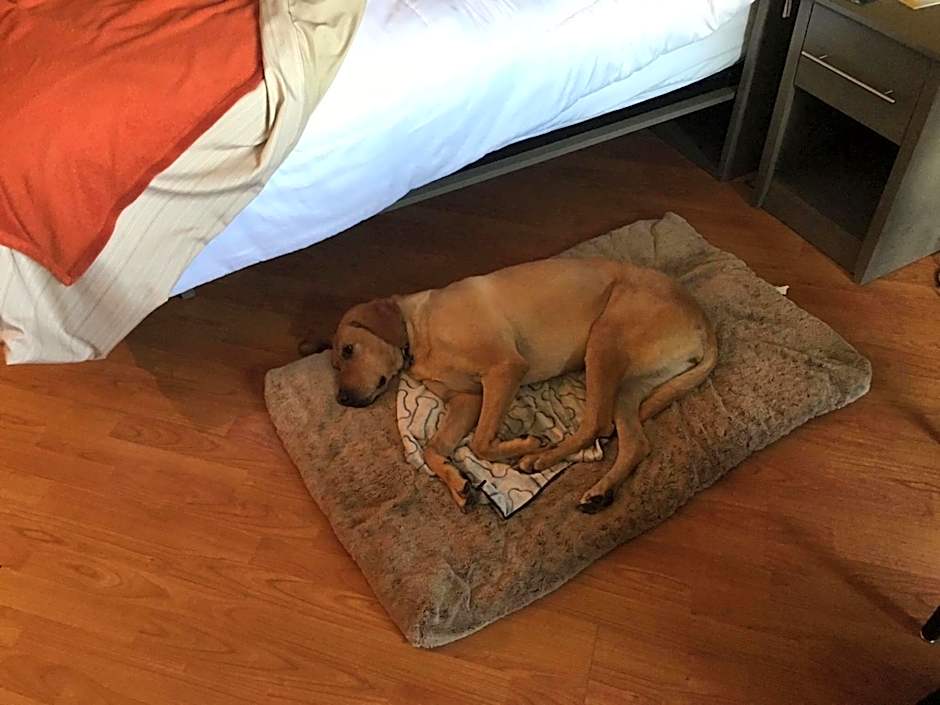 Days Inn by Wyndham Berthierville