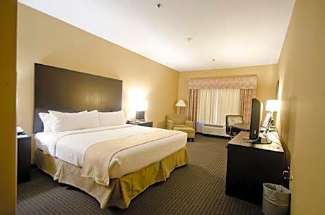1 King Bed Standard Communication Accessible