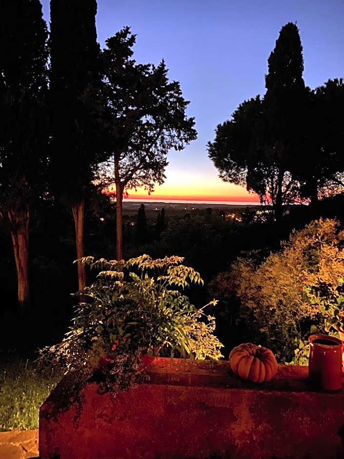 B&B Villa il Poggetto