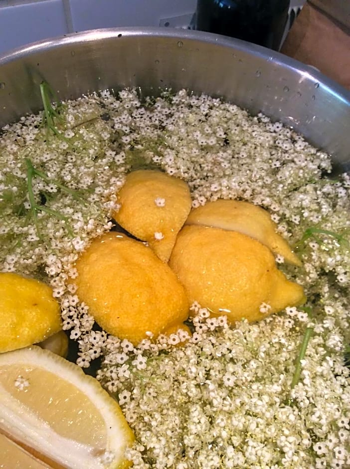 Guest Room Agro-turismo Quinta da Fonte Bed&Breakfast