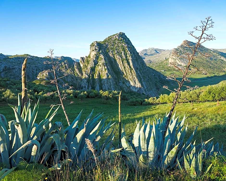 Hotel La Fuente de la Higuera