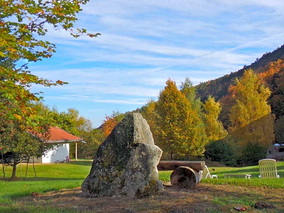 Hotel-Spa & Restaurant Logis Domaine Langmatt