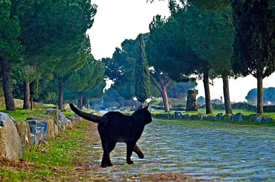 B&b Appia Felis – Rome