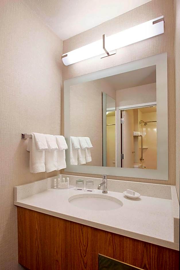 SpringHill Suites by Marriott Phoenix Tempe/Airport