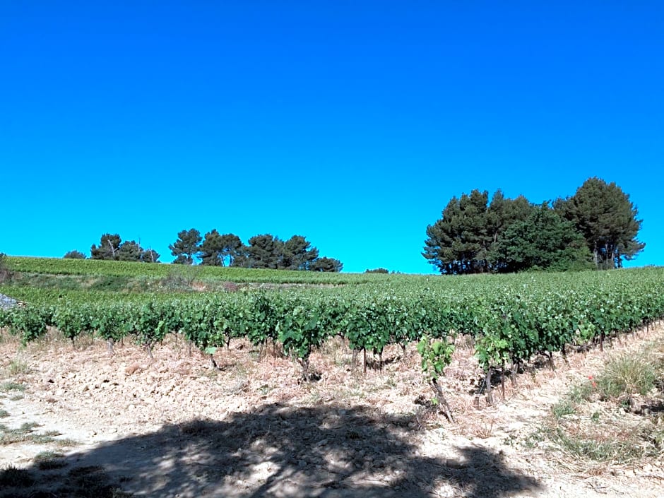 Bastide Bellugue Maison d'hôtes réseau Bienvenue à La Ferme à 3 minutes de Lourmarin