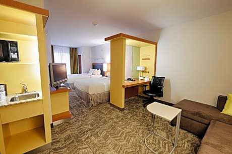 One-Bedroom Queen Suite with Sofa Bed