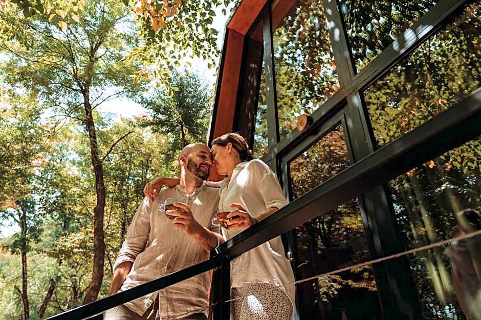 Eco Village In The Forest