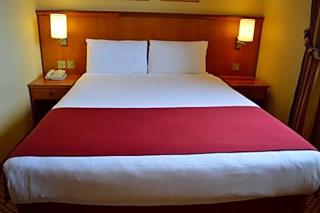 Standard Double Room (1 Double Bed)