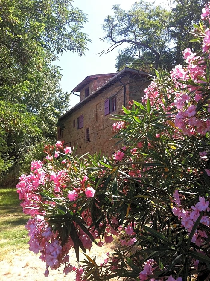 Il Paretaio
