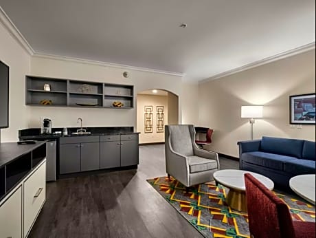 1 Bedroom Suite