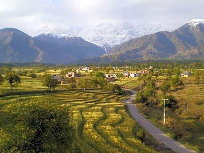 Hotel Seclude Palampur