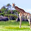 Kragga Kamma Game Park
