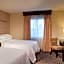 Embassy Suites by Hilton Houston Near the Galleria
