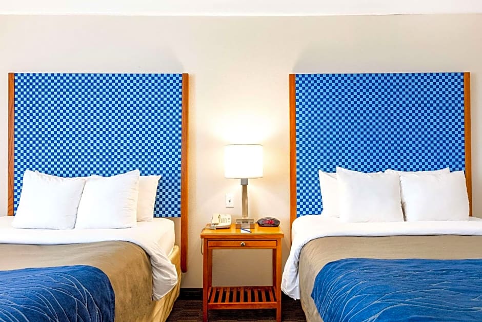 Comfort Inn & Suites Savannah Airport