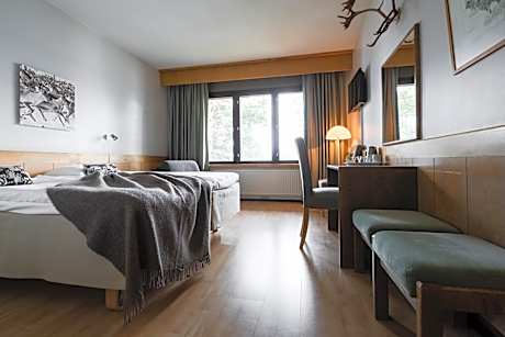 Superior Double or Twin Room with Lake View