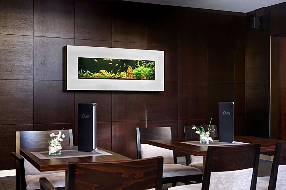 Congress & Wellness Hotel Olsanka