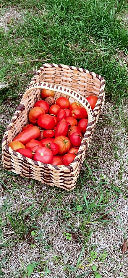 Les Hauts de Grazac
